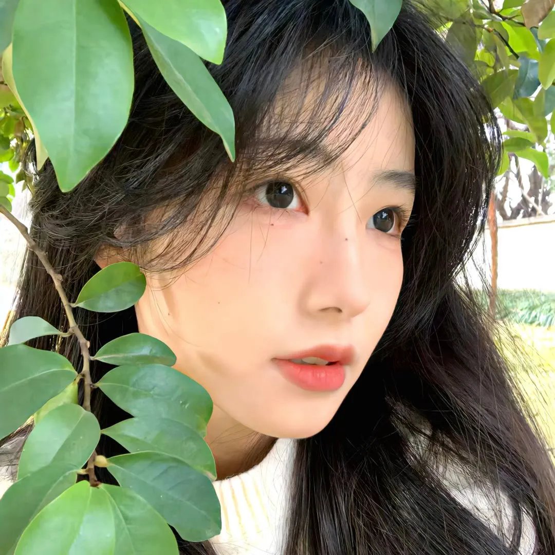 爱出猫国语 海报