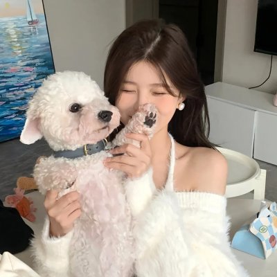 蝙蝠侠与哈莉·奎恩 海报